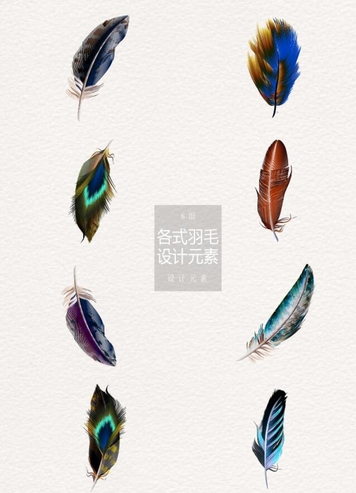 彩色羽毛 五彩羽毛 捕梦网 羽毛 手绘羽毛 装饰图案 波希米亚 摩洛哥 抽象羽毛 水彩羽毛 波西米亚 少数民族元素 梦幻羽毛 矢量羽毛 风铃 梦幻背景 梦幻素材 抽象背景 羽毛风铃