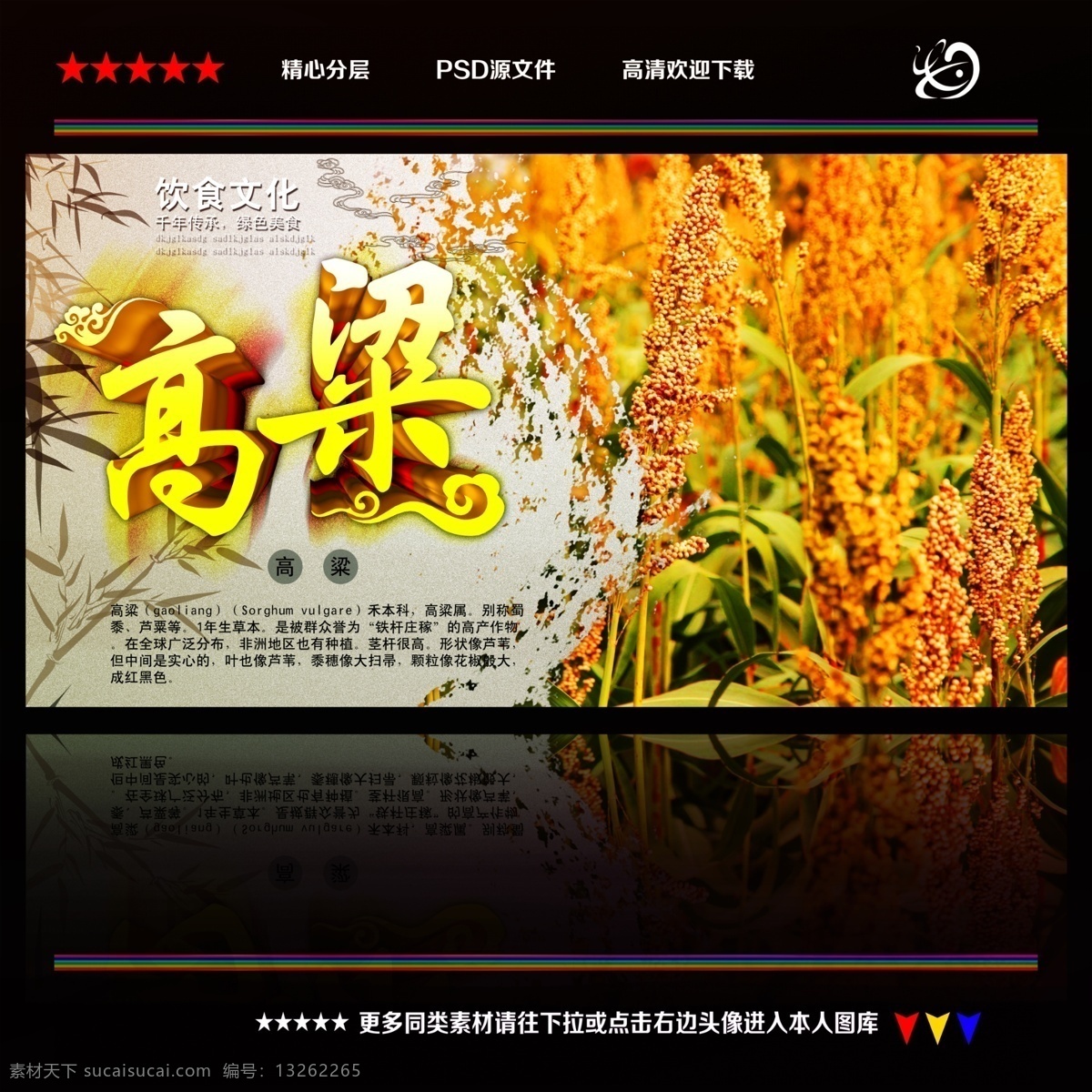 高粱 红高粱 高粱海报 高粱酒 高粱穗 高粱五谷杂粮 五谷 杂粮 五谷杂粮展板 五谷丰登 五谷杂粮海报 五谷杂粮挂画 五谷杂粮图片 食疗 饮食养生 谷物 膳食养生 餐饮 餐饮文化 饮食 养生 粮食 粗粮 小米 硬米 甘蔗 小麦 黄豆 稻谷 麦子 大豆 玉米 芝麻 红豆 绿豆 养生饮食 五谷杂粮 植物