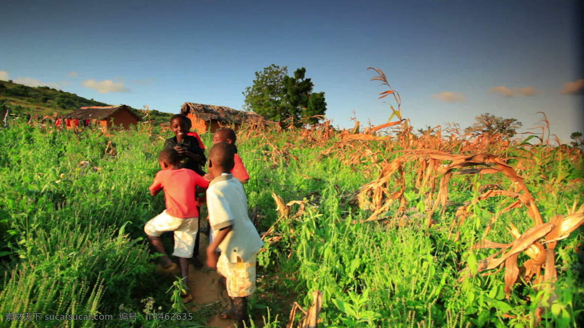 肯尼亚 附近 股票 视频 一村 孩子 农场 视频免费下载 非洲人民 其他视频
