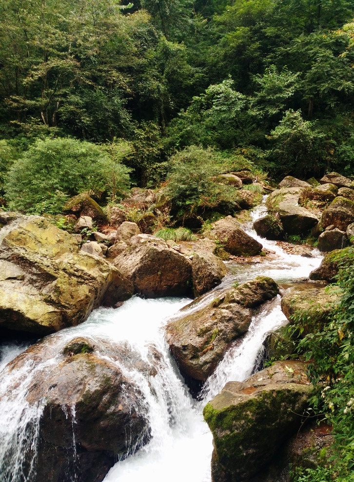 青城山 风景 山水 山涧 溪流 山间瀑布 山水风景 山间流水 倒影 石头 自然风光 自然风景 水冲石头 浅水 国内旅游 旅游摄影 自然景观
