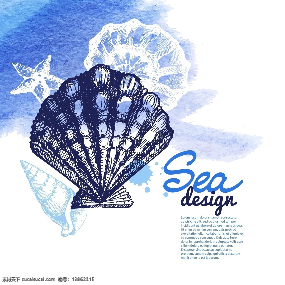 手绘贝壳 海螺 装饰品 贝壳 素描 线描 海星 海洋生物 美术绘画 矢量 生物世界