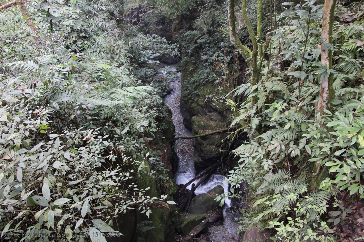 峨眉山 四川峨眉山 峨眉山照片 峨眉山图片 峨眉山素材 四川景点 峨眉山旅游 峨眉山海报 峨眉山淘宝 峨眉山祈福 旅游海报 旅游峨眉山 峨眉山金顶 四川乐山 金顶风光 金顶建筑 峨眉金顶 佛教圣地 高清 自然景观 风景名胜 灰色