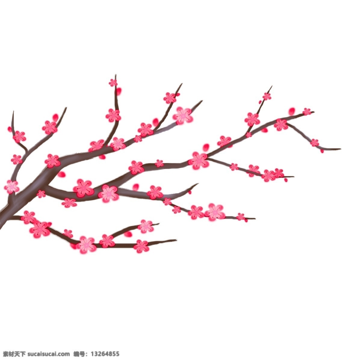中国 风 一枝梅 花 插画 商用 元素 中国风 手绘 植物 psd设计 梅花