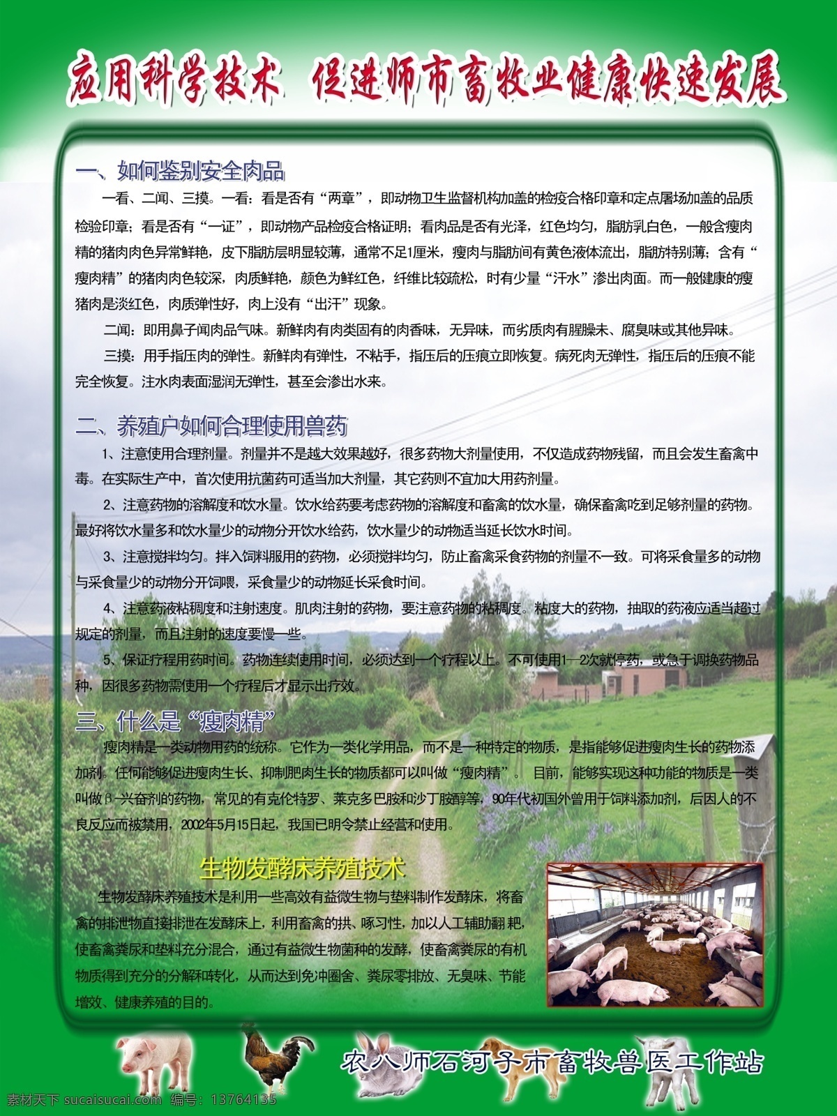 兽医站 动物 绿树 边框 展板模板 广告设计模板 源文件