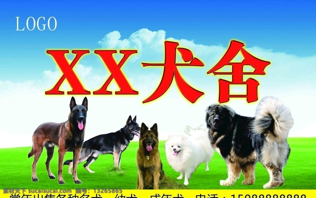 犬舍 名狗 马犬 金毛 藏獒 泰迪 德国犬 各种名犬 出售狗狗 展板 蓝色背景 草地