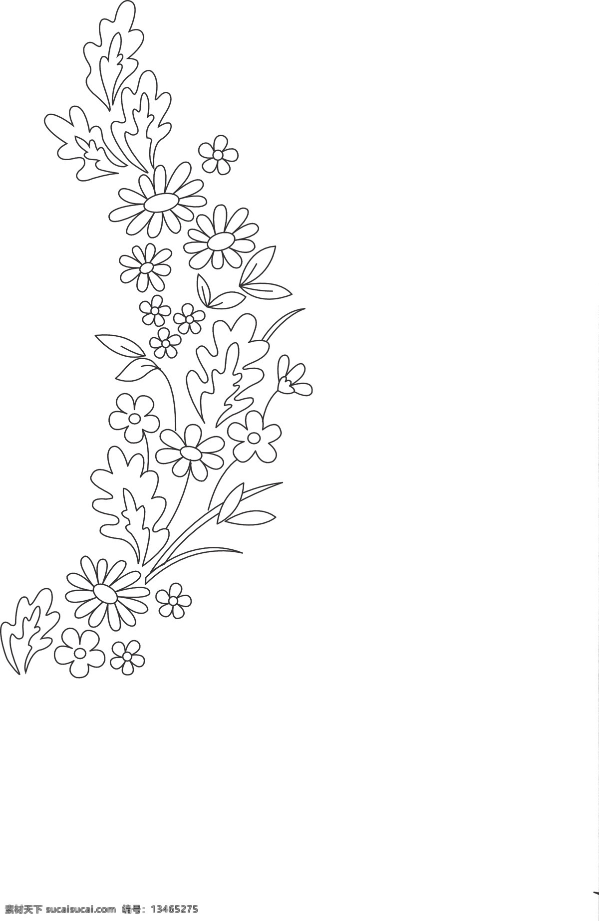 白菊花 底纹边框 花纹花边 剪影花 野花 色块菊花 矢量 模板下载 丝网印花 psd源文件