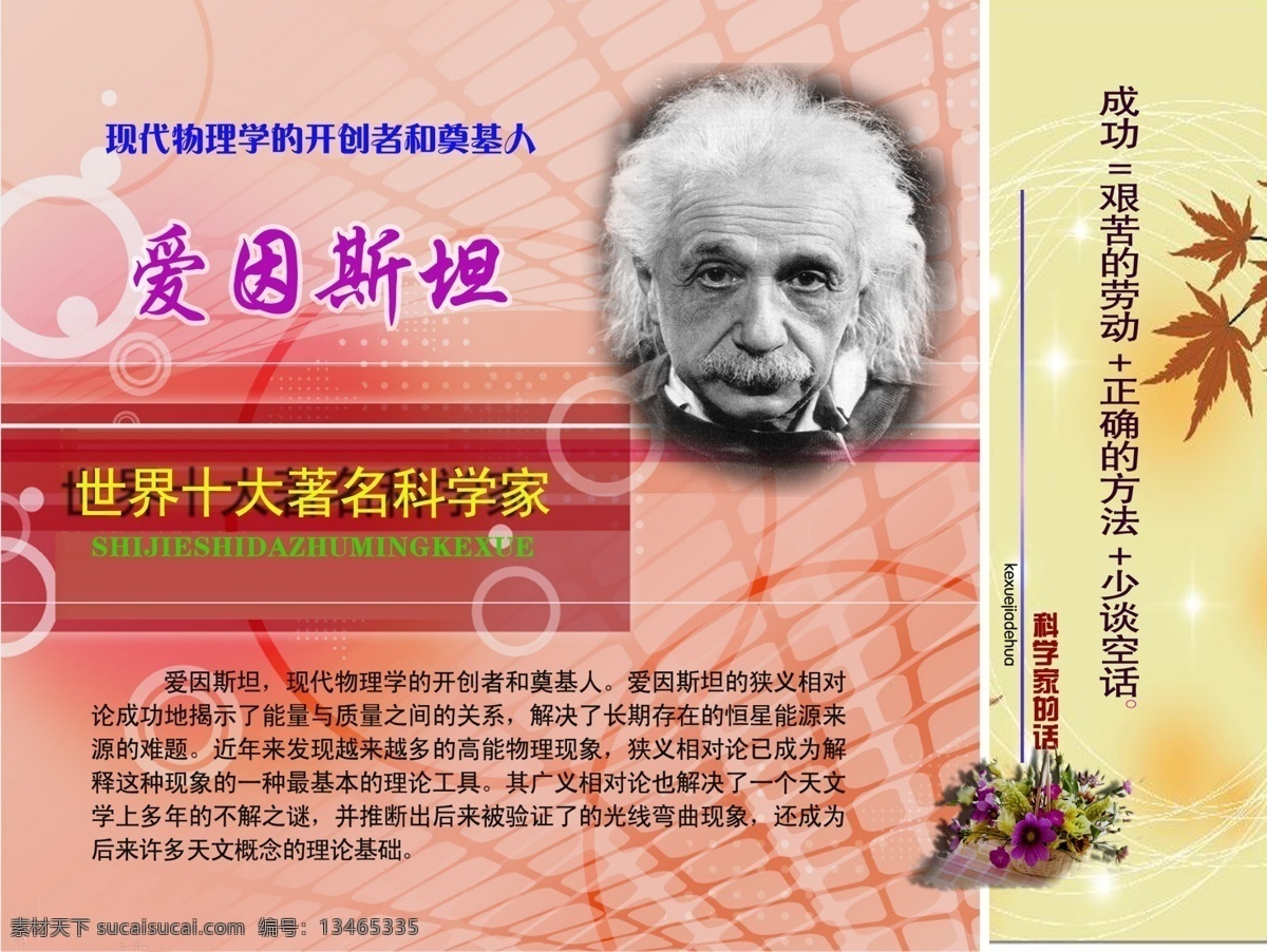 爱因斯坦 枫叶 花 环境设计 黄色边框 室内设计 源文件 模板下载 爱因斯坦画像 粉红色 网格 状 背景 爱因斯坦简介 爱因斯坦名言 世界 十大 科学家 家居装饰素材