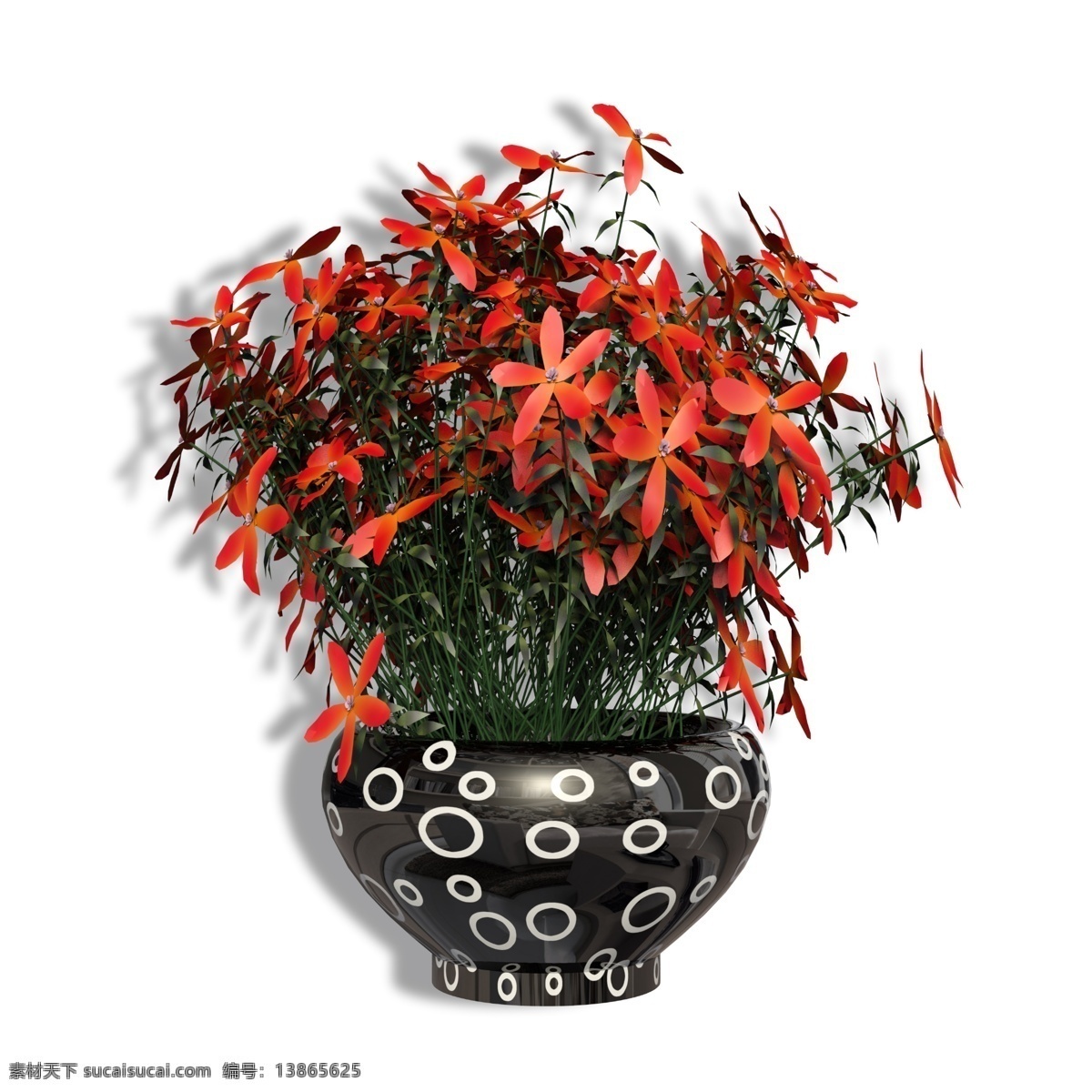 盆 漂亮 盆景 花 家饰 摆台 装饰植物 植物