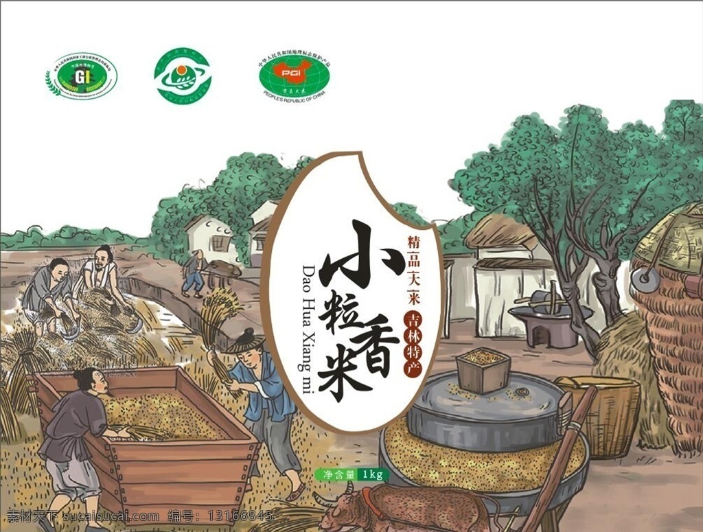 五常大米 香米 小粒米 大米包装 稻花香 大米插画 打谷 收割 收大米 收田 大米画
