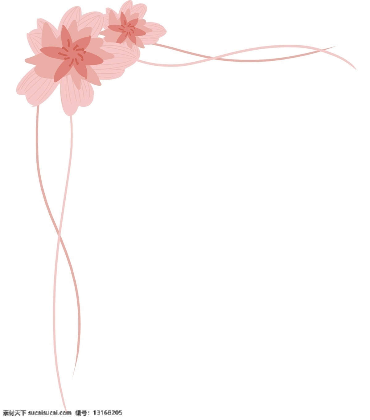 花朵 边框 卡通 插画 框架
