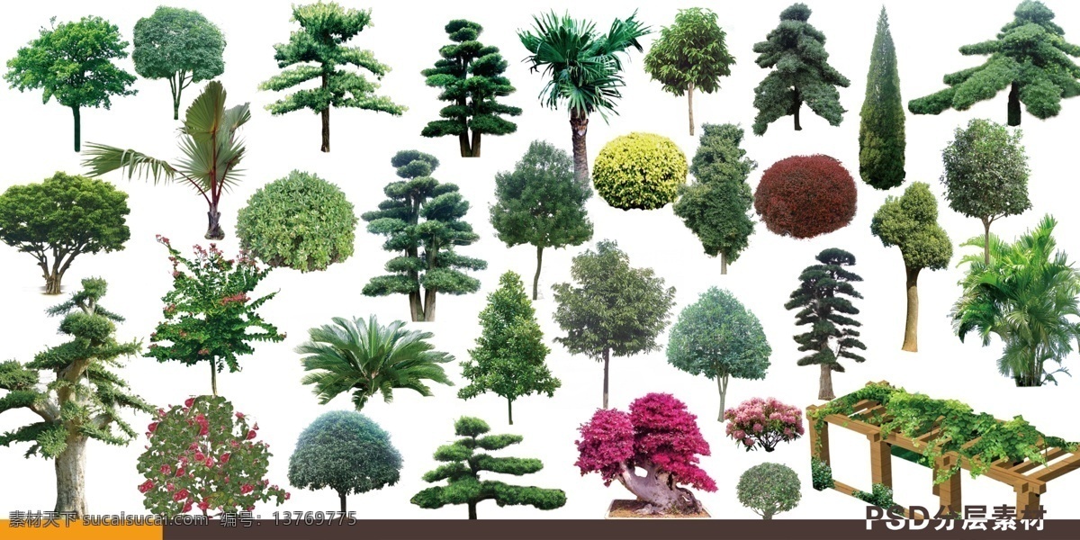 ps立面树 景观树 彩屏树 树模型 立面植物 ps树立面 环境设计 景观设计