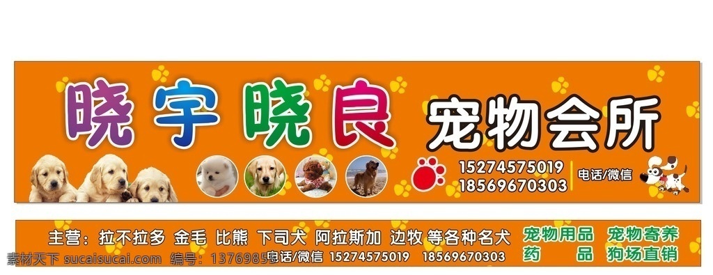 店招 招牌 宠物店招 狗 拉不拉多 金毛 脚印