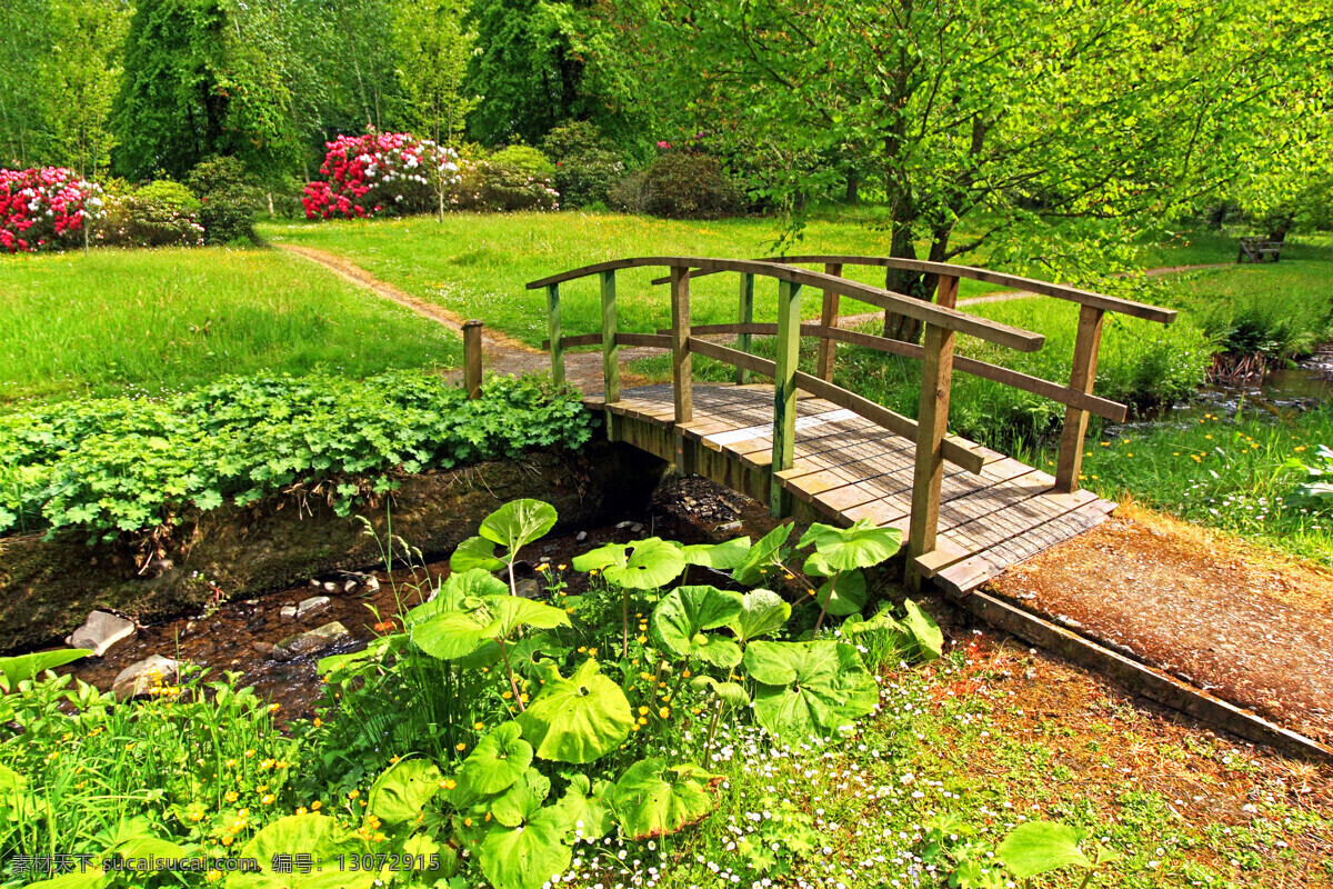 美丽小桥风景 美丽花园风景 小桥风景 园艺风景 园艺植物 植物花卉 美丽鲜花 草地 草坪 自然风景 自然景观 绿色