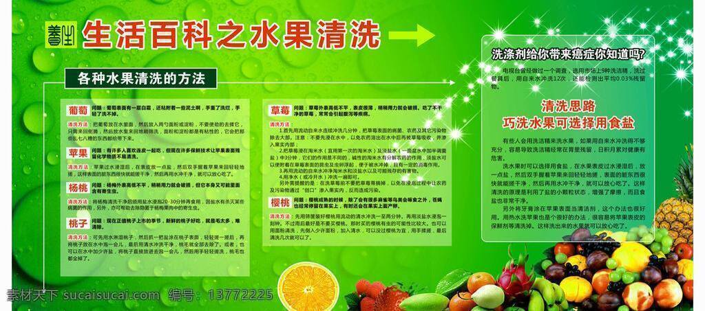 水果 清洗 方法 其他设计 清新绿色 生活百科 矢量 模板下载 水果清洗方法 矢量图 日常生活