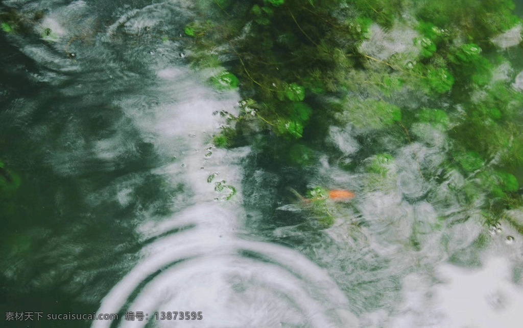 水波 雨 水池 鱼池 夏日 雨季 雨景 梦境 意境 自然景观