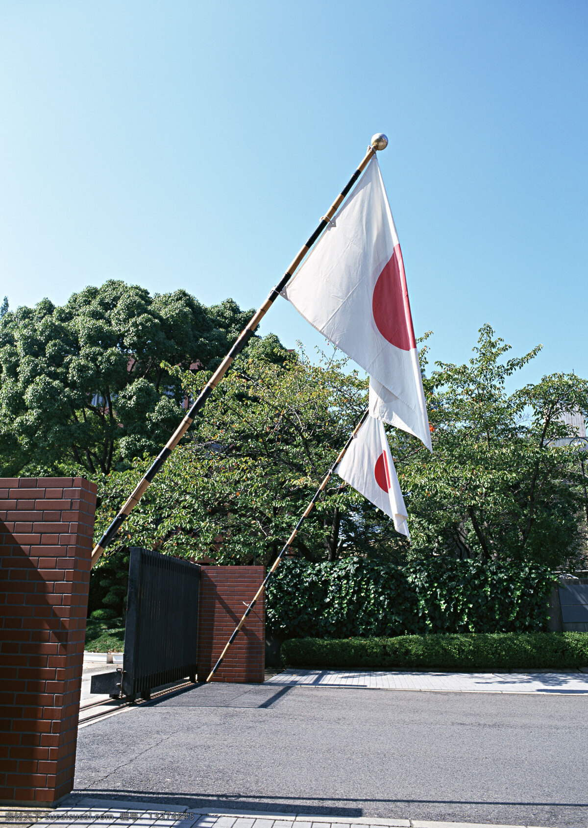 岛国 节日 白云 岛国节日 风景 花朵 蓝天草地 节日素材 其他节日