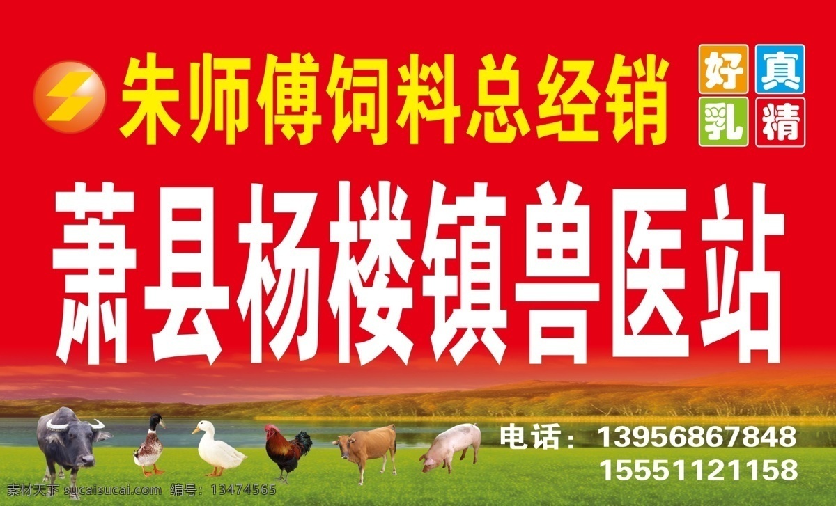 朱师傅饲料 朱师傅 饲料 兽医站 牛 鸭 鸡 猪 羊 鹅 绿草 广告设计模板 源文件