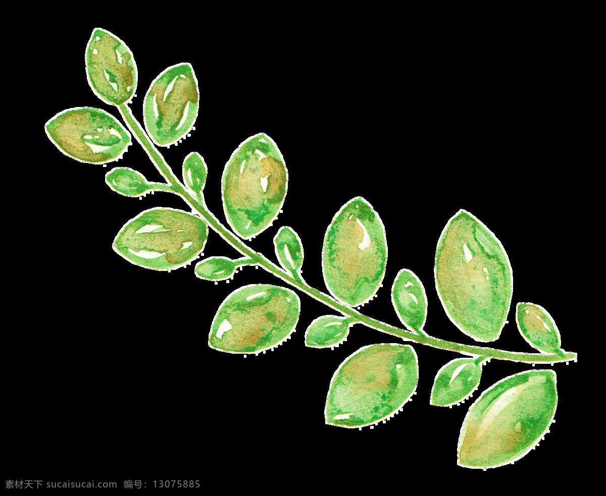 水墨 树叶 透明 卡通 抠图专用 装饰 设计素材