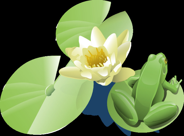 利兰 麦金尼斯 青蛙 睡莲 叶子 上 剪贴 画 矢量边框花纹 矢量花纹素材 矢量图库 花纹花边