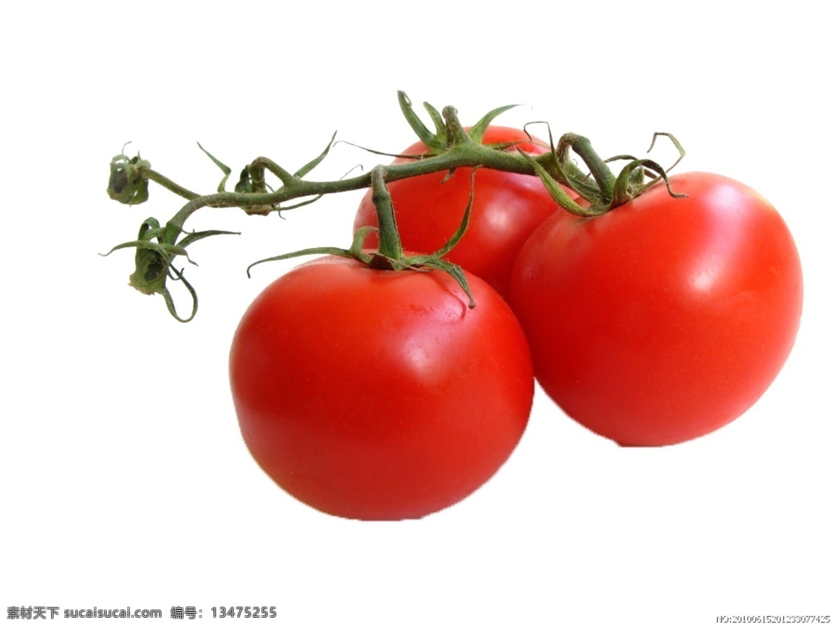 西红柿素材 免抠 白色