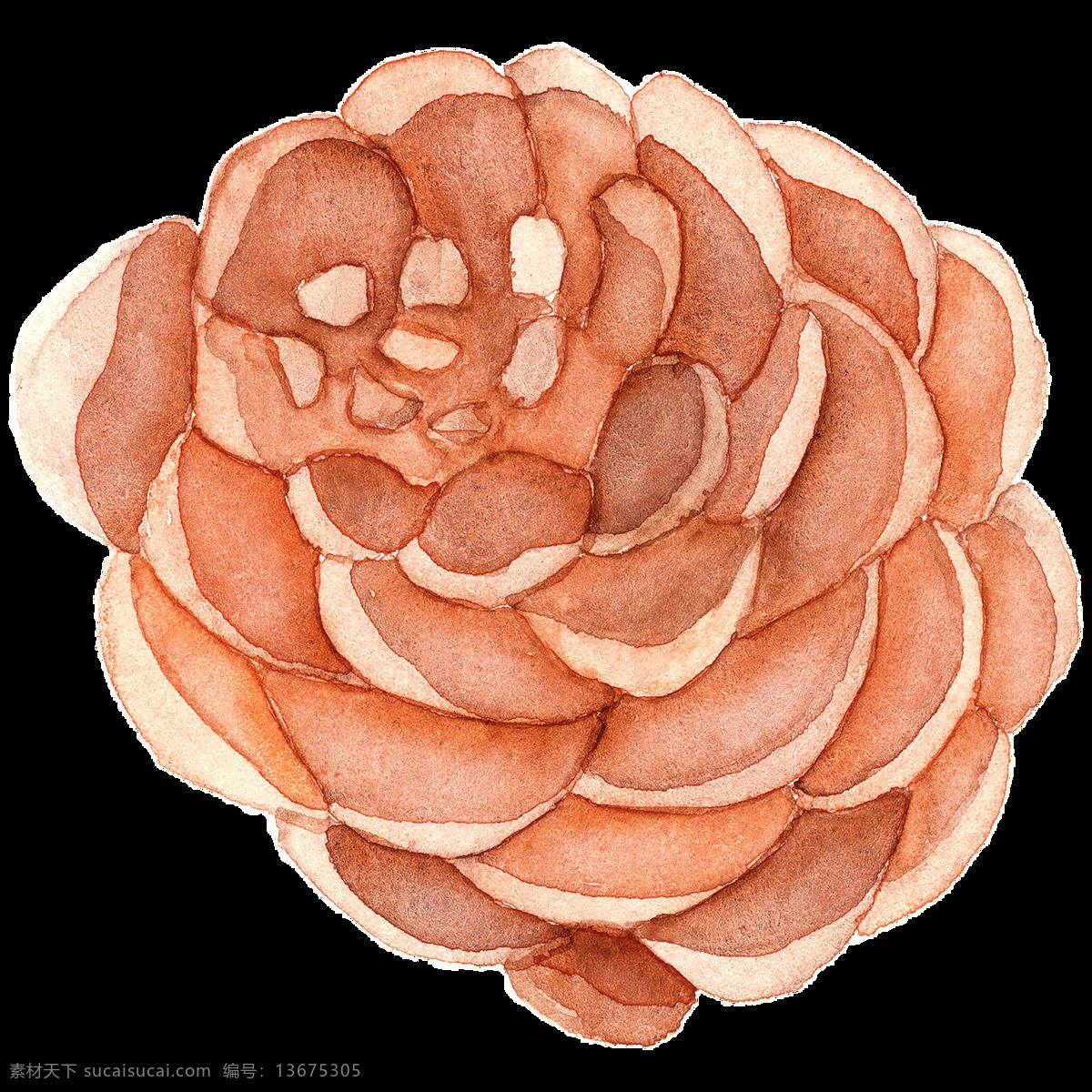 手绘 一个 松果 透明 摆设品 立体 免扣素材 圣诞节 水彩 松树 透明素材 装饰图案