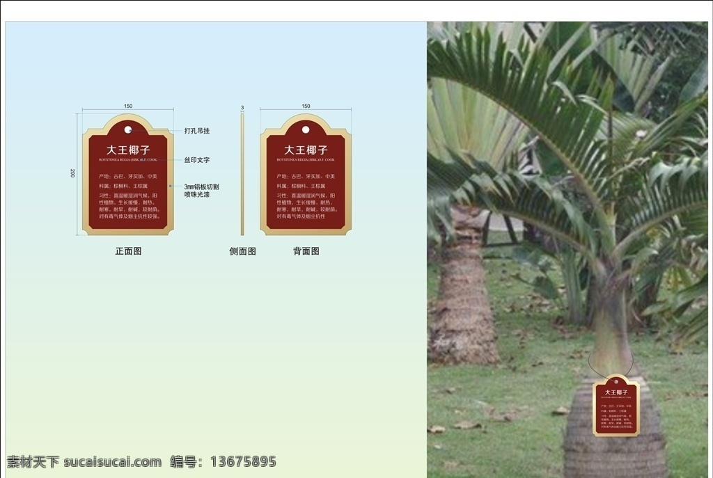 树名牌 吊挂牌 树名 树名标示牌 树名标牌 挂牌 吊牌 标示牌 名称牌 草地牌 花草牌 绿化牌 绿化标识 公寓标识 室外广告设计