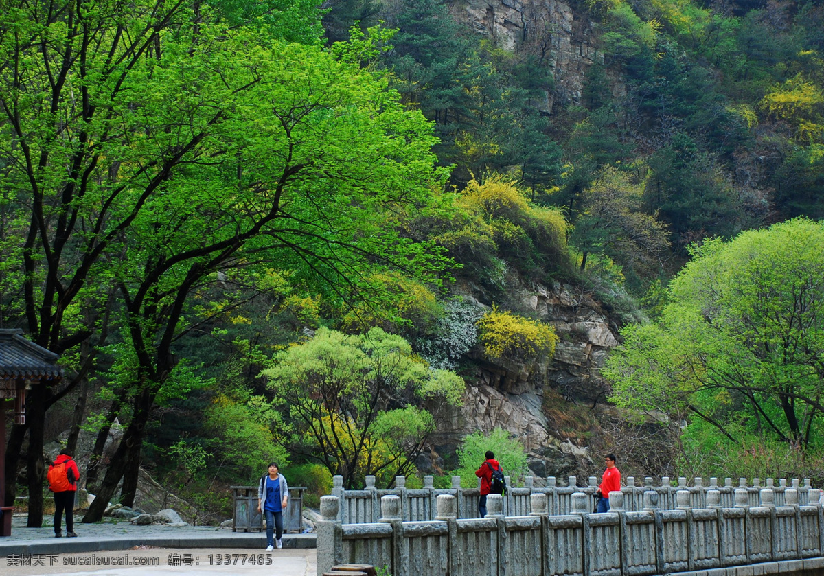 泰山 泰山旅游 泰山风光 泰安 泰安旅游 泰山桃花源 桃花源 旅游摄影 国内旅游