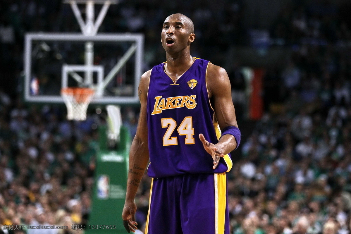 科比 篮球 nba 体育 美职篮 明星偶像 人物图库