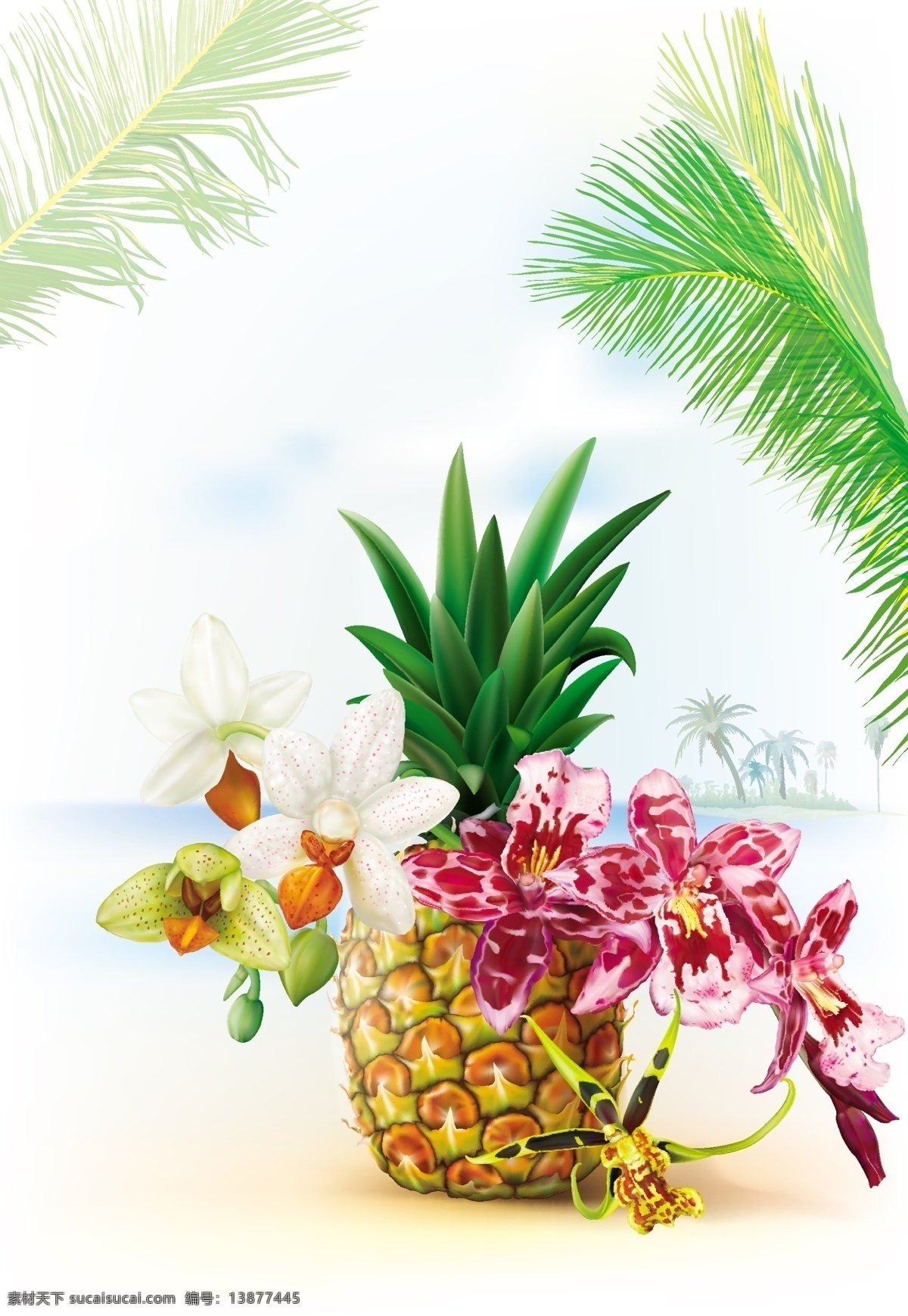 水果 果肉 水果切面 切面 香蕉 椰子 牛油果 菠萝 柠檬 泥猴桃 夏日饮品