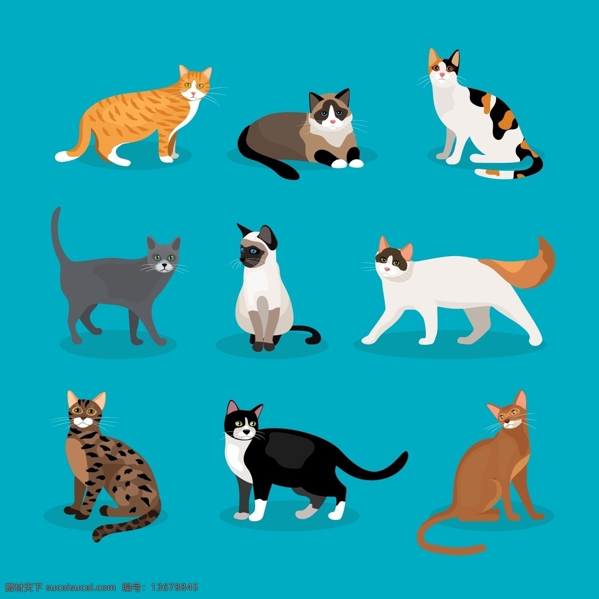 猫 卡通图片 卡通 动物 宠物 小猫 cat 猫图标 猫图形 猫头 猫图案 猫logo 猫元素 猫标志 线条猫 卡通猫 矢量猫 手绘猫 喵 宠物猫 小猫图案 小猫图标 小猫logo 小猫元素 小猫素材 线条小猫 卡通小猫 标志图标 动漫 动画 图案 手绘 插画 水彩猫 白猫 花猫 黑猫 动物肉