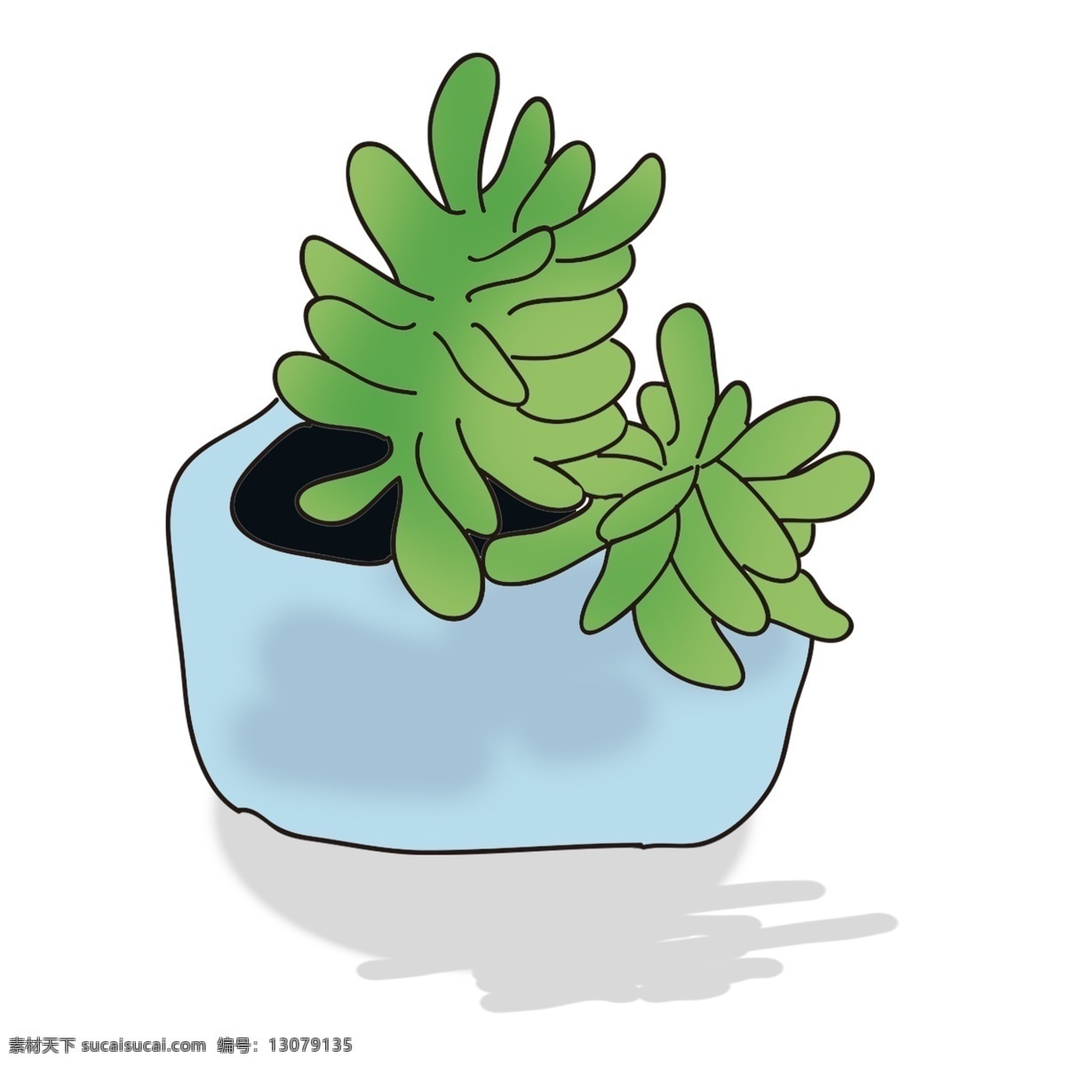 双珠 植物 盆栽 免 抠 图 绿色植物盆栽 卡通小盆栽 绿色 叶子 卡通盆栽 办公室盆栽 一盆双珠植物