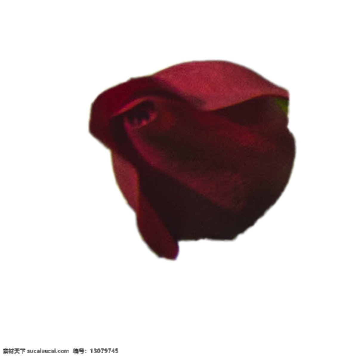 红色 玫瑰花 免 扣 红色花朵 鲜花 红色玫瑰 卡通插图 创意卡通下载 插图 png图下载