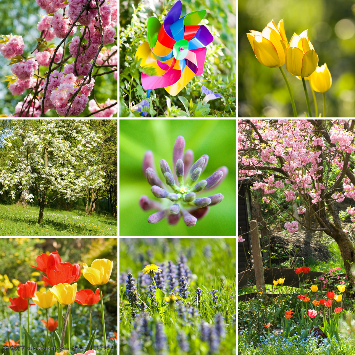 春天 鲜花 背景 彩色风车 桃花 郁金香 花丛 花朵 春季 绿色 梦幻背景 其他类别 环境家居