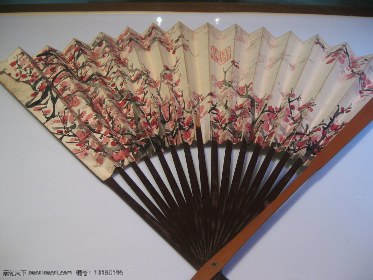 国画 扇子 博物馆 传统文化 梅花 文化艺术 展览 国画扇子 嘉兴 装饰素材 展示设计