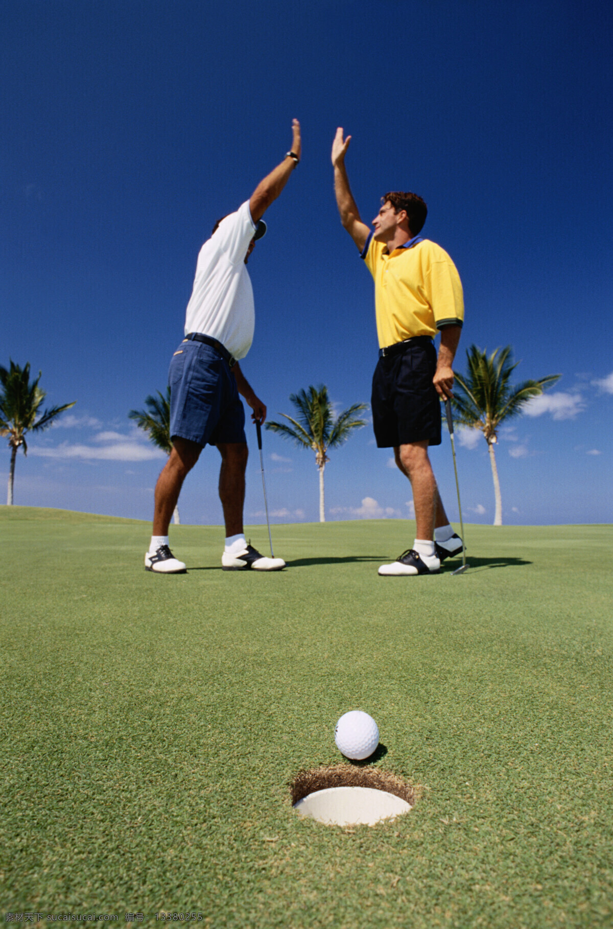 打高尔夫球 拍手庆祝 球进洞 蓝天 草地 运动 文化艺术 体育运动 摄影图库 300