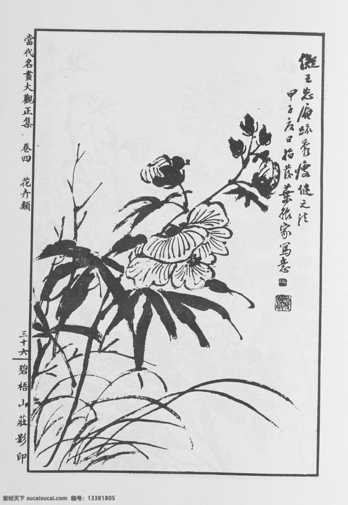 花卉画 中国画 当代 名画 大观 正 集 设计素材 花鸟画篇 中国画篇 书画美术 白色