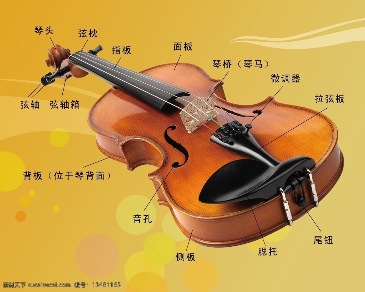 小提琴 介绍 展板 提琴 提琴简介 提琴介绍 简介 琴头 弦轴 面板
