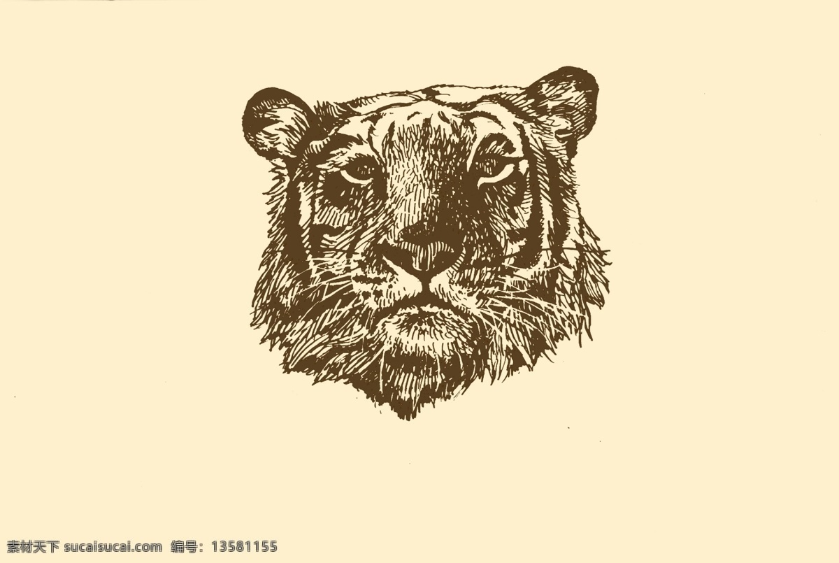 动物图案 虎 卡通 动物 纹样 图案 白描 简笔画 儿童画 老虎 虎年 百兽之王 虎头 分层 源文件
