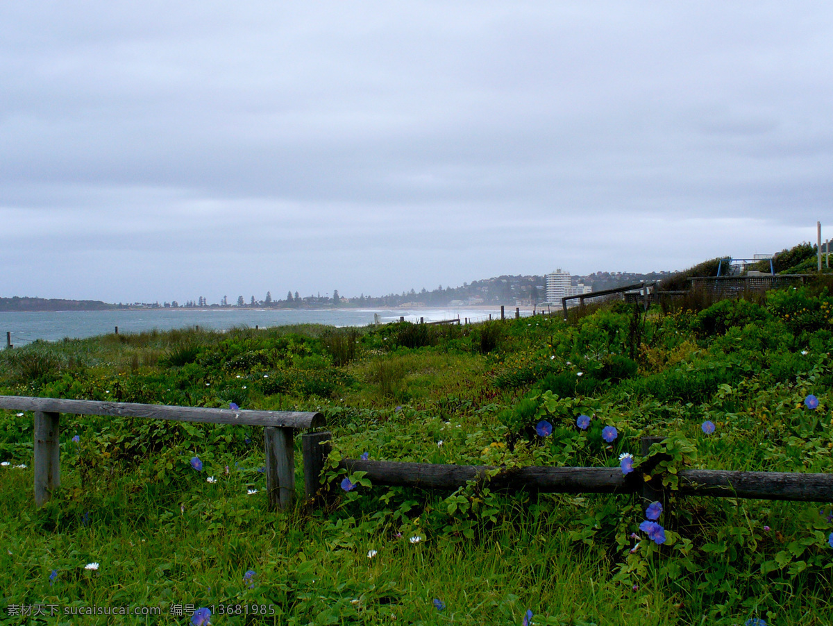 碧海 大海 海景 花草 旅游摄影 美丽景色 牵牛花 山水风景 迪 外 海 迪外的海 自然风光 悉尼 迪外海滩 岸边植物 自然景观 psd源文件