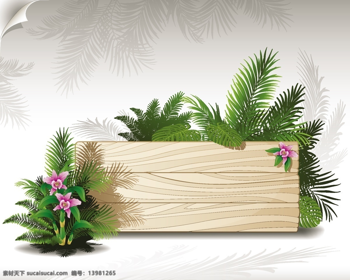 矢量 种 热带 植物 广告牌 矢量图 其他矢量图