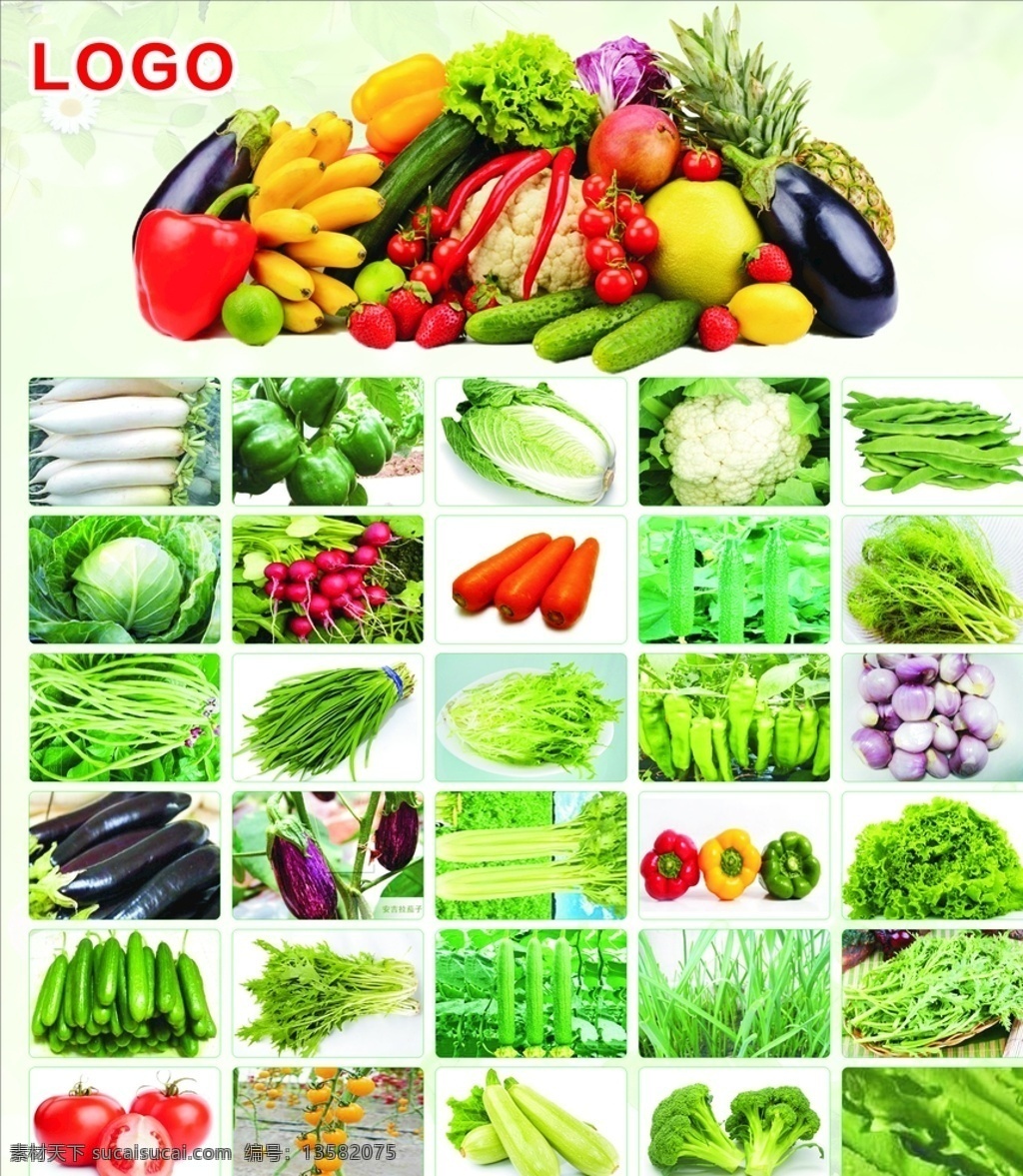 有机蔬菜海报 有机蔬菜 海报 黄瓜 茄子 西红柿 绿色食品 豆角