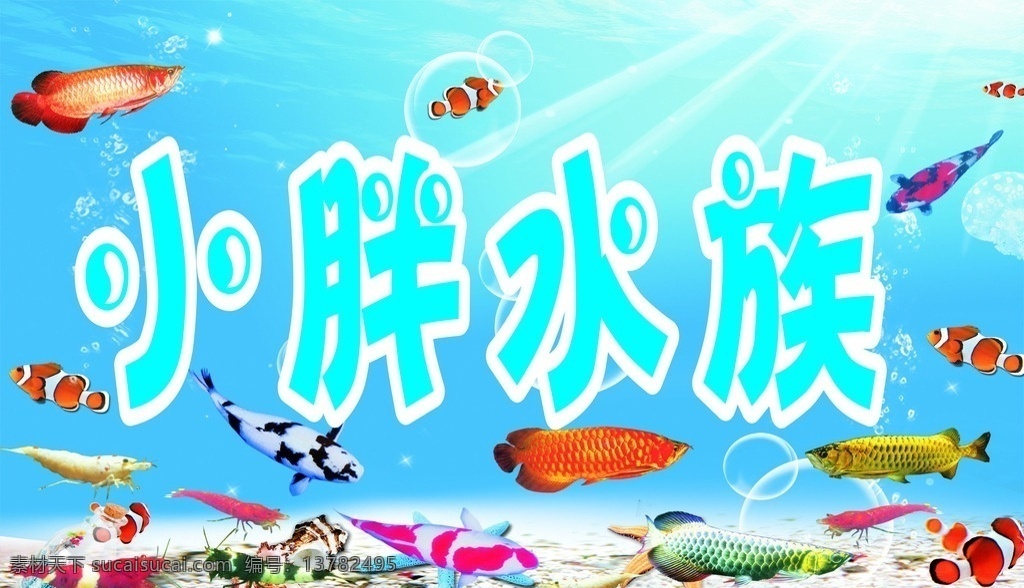 海底图片 水族 海洋生物 海底世界 生物世界 矢量