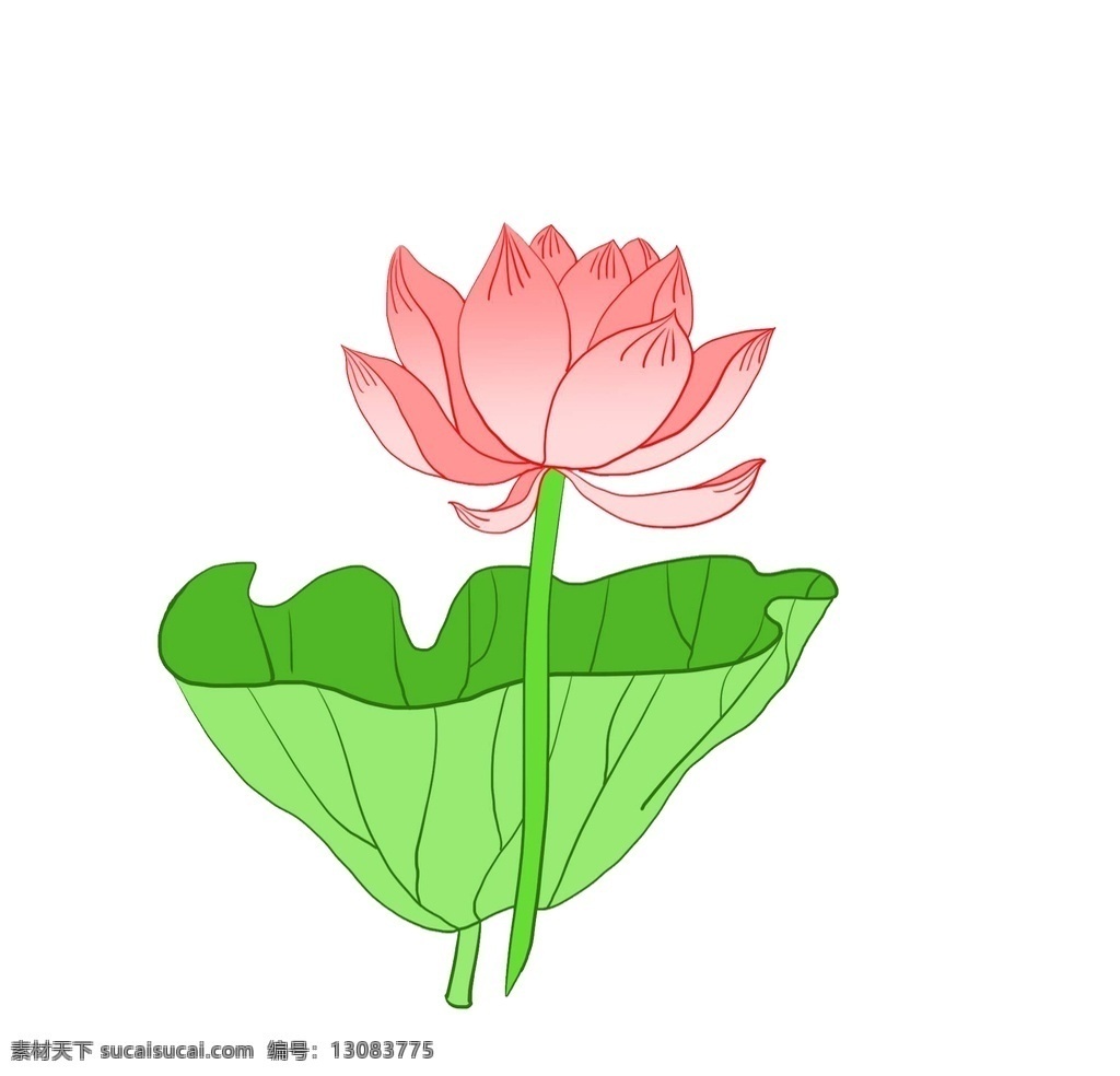 莲花图片 莲花 卡通 矢量 好看 分层 风景