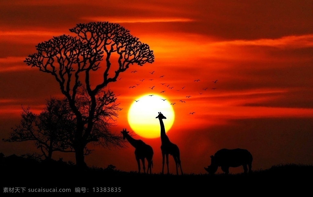残阳 下 长颈鹿 血色 红云 火烧云 草原 树 景色 自然景观 自然风景