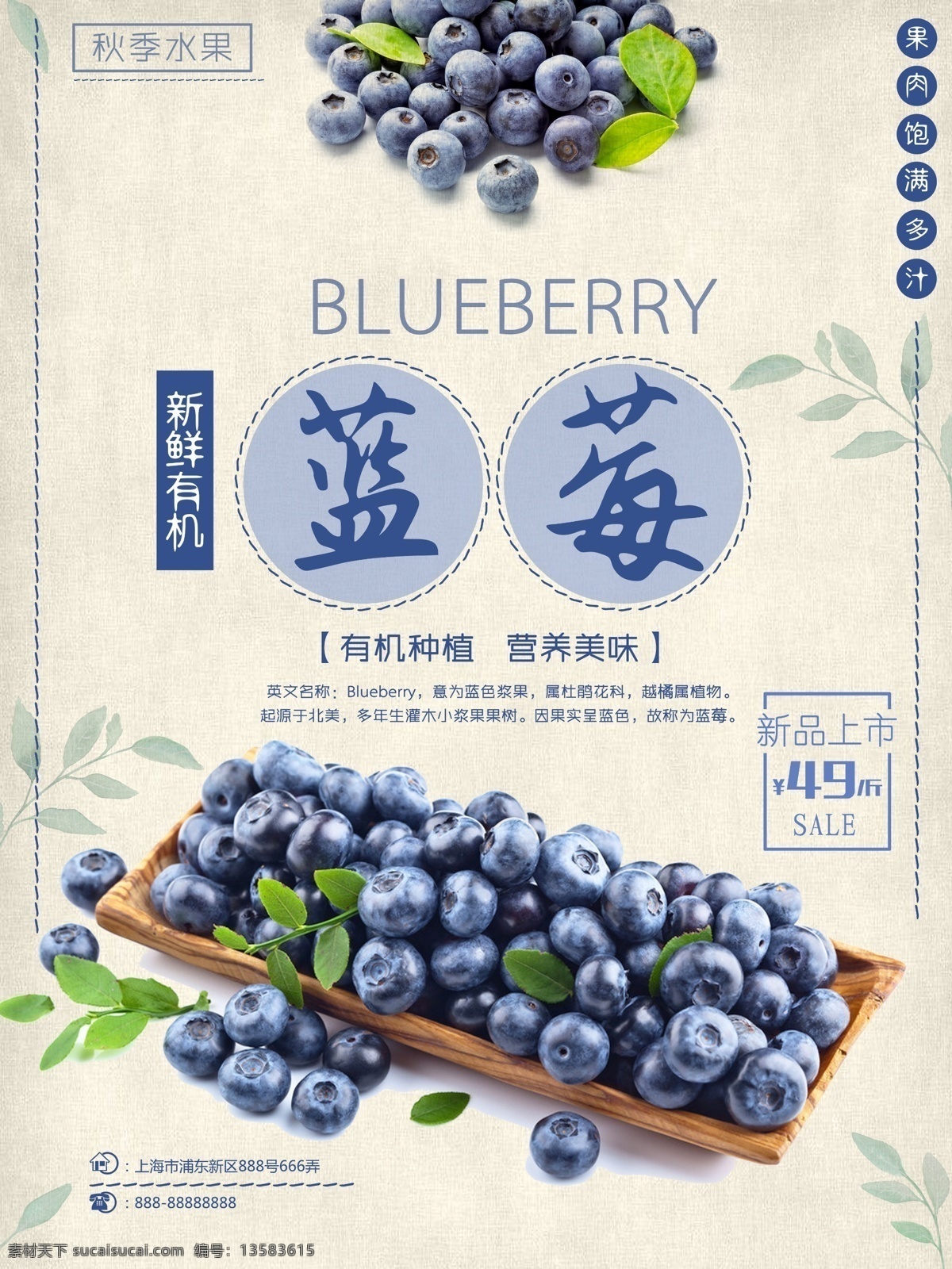 蓝莓 新鲜 上市 海报 蓝莓新鲜上市 蓝莓海报 蓝莓广告 蓝莓促销广告