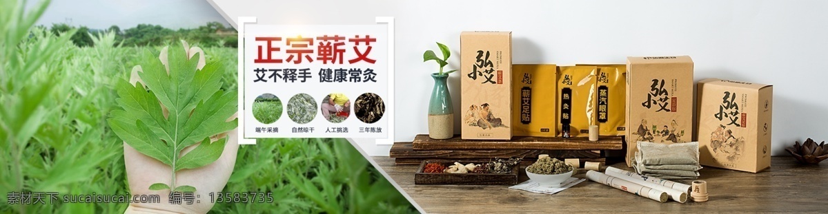 网页 banner 中医 艾 草 简约 清新 宣传 药材 中医艾草