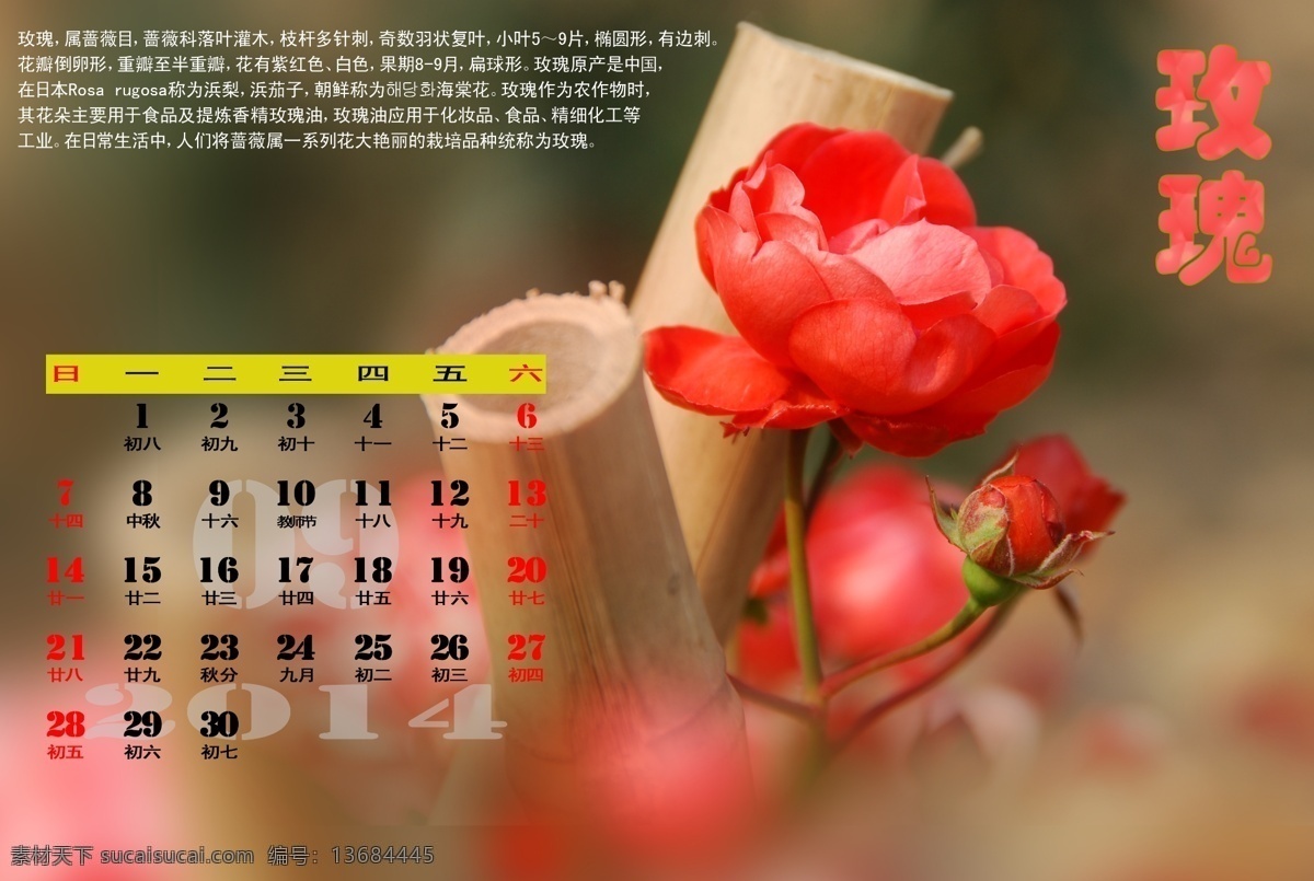 2014 电子台历 广告设计模板 花卉 玫瑰 其他模版 源文件 植物 电子 台历 月 模板下载 节日素材 2015羊年
