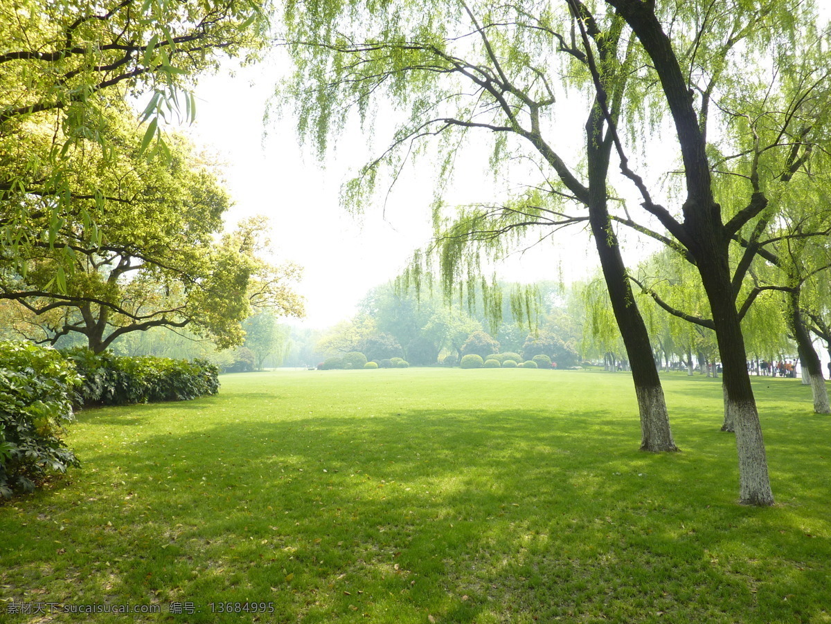 草地 草坪 树木 阳光 绿色 阴影 落叶 自然风景 自然景观