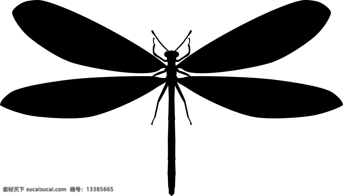 蜻蜓剪影 昆虫系列 蜻蜓 矢量图 昆虫 昆虫纲 动物界 节肢动物 insect 大自然 卡通 剪影 黑白 户外 野外 标本 精美 装饰 背景 底图 设计元素 海报 潮流 矢量 昆虫类 丁丁 点灯儿 蚂螂 负劳 诸乘 纱羊 山咪 光光听 dragonfly 无脊椎 动物 生物世界