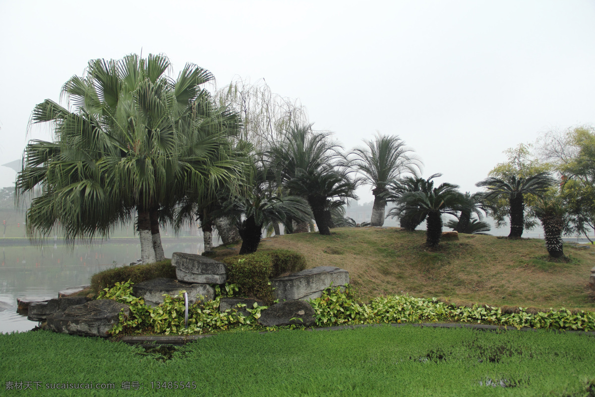 风景 公园 公园风景 湖 湖水 建筑园林 树木 千 灯 一角 千灯湖公园 自然风景 公园一角 园林建筑 家居装饰素材 灯饰素材